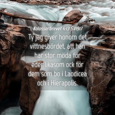 Picture 04 - Kolosserbrevet 4:13 SV1917 - Ty jag giver honom det vittnesbördet, att han - Bible Verse Picture