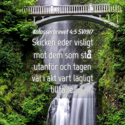 Picture 04 - Kolosserbrevet 4:5 SV1917 - Skicken eder visligt mot dem som stå utanför - Bible Verse Picture