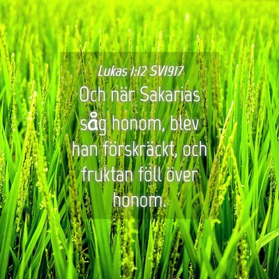 Picture 04 - Lukas 1:12 SV1917 - Och när Sakarias såg honom, blev han - Bible Verse Picture