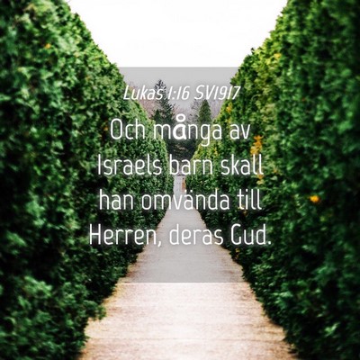 Picture 04 - Lukas 1:16 SV1917 - Och många av Israels barn skall han omvända - Bible Verse Picture