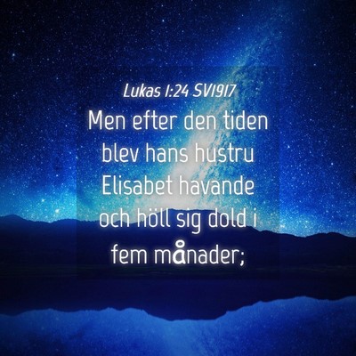 Picture 04 - Lukas 1:24 SV1917 - Men efter den tiden blev hans hustru Elisabet - Bible Verse Picture