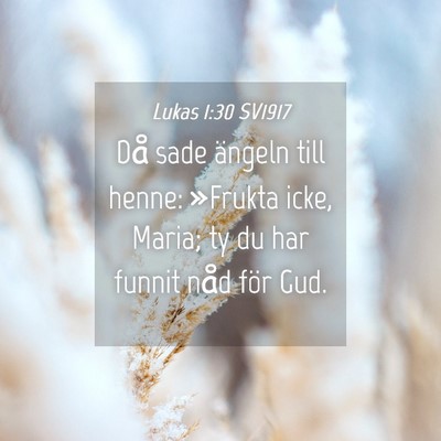 Picture 04 - Lukas 1:30 SV1917 - Då sade ängeln till henne: »Frukta icke, - Bible Verse Picture