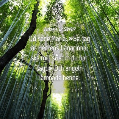 Picture 04 - Lukas 1:38 SV1917 - Då sade Maria: »Se, jag är Herrens - Bible Verse Picture