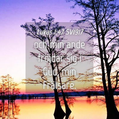 Picture 04 - Lukas 1:47 SV1917 - och min ande fröjdar sig i Gud, min - Bible Verse Picture