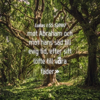 Picture 04 - Lukas 1:55 SV1917 - mot Abraham och mot hans säd till evig tid, - Bible Verse Picture