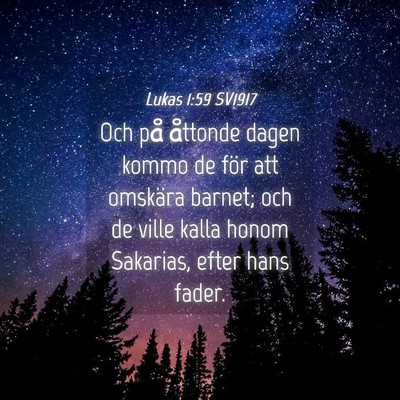 Picture 04 - Lukas 1:59 SV1917 - Och på åttonde dagen kommo de för att omskära - Bible Verse Picture