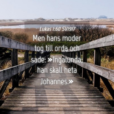 Picture 04 - Lukas 1:60 SV1917 - Men hans moder tog till orda och sade: - Bible Verse Picture