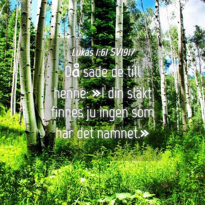 Picture 04 - Lukas 1:61 SV1917 - Då sade de till henne: »I din släkt finnes ju - Bible Verse Picture