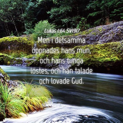 Picture 04 - Lukas 1:64 SV1917 - Men i detsamma öppnades hans mun, och hans tunga - Bible Verse Picture