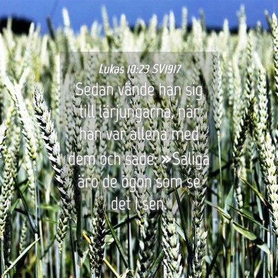 Picture 04 - Lukas 10:23 SV1917 - Sedan vände han sig till lärjungarna, när han - Bible Verse Picture