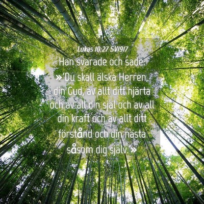 Picture 04 - Lukas 10:27 SV1917 - Han svarade och sade: »'Du skall älska Herren, - Bible Verse Picture