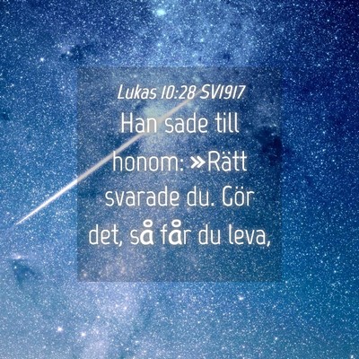 Picture 04 - Lukas 10:28 SV1917 - Han sade till honom: »Rätt svarade du. Gör - Bible Verse Picture
