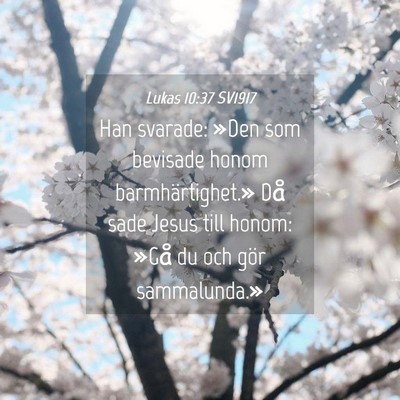 Picture 04 - Lukas 10:37 SV1917 - Han svarade: »Den som bevisade honom - Bible Verse Picture
