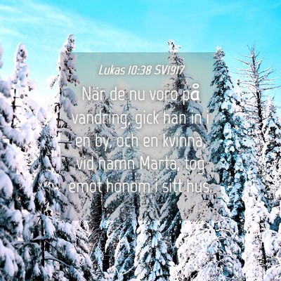 Picture 04 - Lukas 10:38 SV1917 - När de nu voro på vandring, gick han in i en - Bible Verse Picture