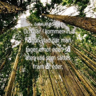 Picture 04 - Lukas 10:8 SV1917 - Och när I kommen in i någon stad där man tager - Bible Verse Picture