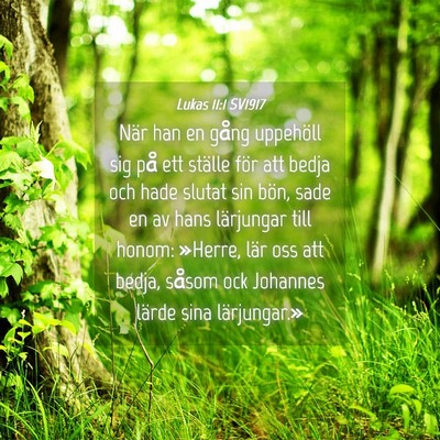 Picture 04 - Lukas 11:1 SV1917 - När han en gång uppehöll sig på ett ställe - Bible Verse Picture