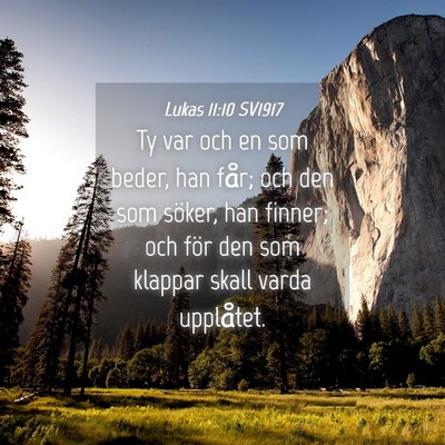 Picture 04 - Lukas 11:10 SV1917 - Ty var och en som beder, han får; och den som - Bible Verse Picture
