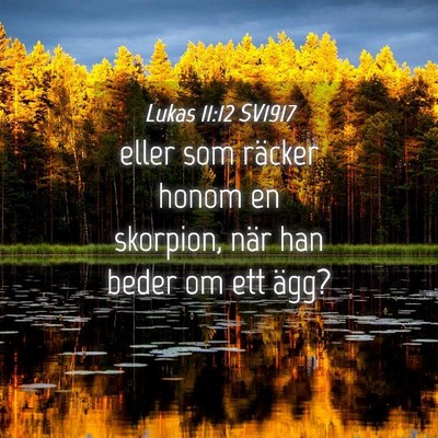 Picture 04 - Lukas 11:12 SV1917 - eller som räcker honom en skorpion, när han - Bible Verse Picture