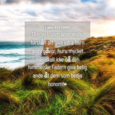 Picture 04 - Lukas 11:13 SV1917 - Om nu I, som ären onda, förstån att giva edra - Bible Verse Picture