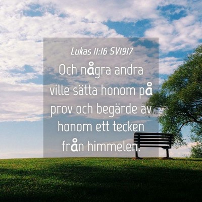Picture 04 - Lukas 11:16 SV1917 - Och några andra ville sätta honom på prov och - Bible Verse Picture