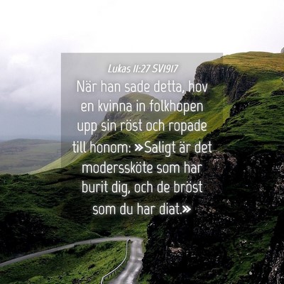 Picture 04 - Lukas 11:27 SV1917 - När han sade detta, hov en kvinna in folkhopen - Bible Verse Picture