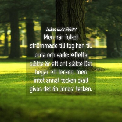 Picture 04 - Lukas 11:29 SV1917 - Men när folket strömmade till tog han till orda - Bible Verse Picture