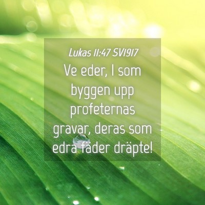 Picture 04 - Lukas 11:47 SV1917 - Ve eder, I som byggen upp profeternas gravar, - Bible Verse Picture