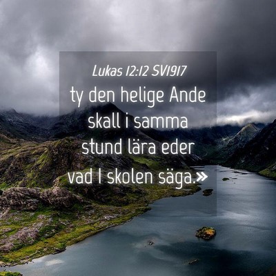 Picture 04 - Lukas 12:12 SV1917 - ty den helige Ande skall i samma stund lära eder - Bible Verse Picture