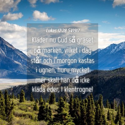 Picture 04 - Lukas 12:28 SV1917 - Kläder nu Gud så gräset på marken, vilket i - Bible Verse Picture