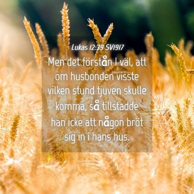 Picture 04 - Lukas 12:39 SV1917 - Men det förstån I väl, att om husbonden visste - Bible Verse Picture