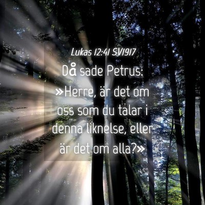 Picture 04 - Lukas 12:41 SV1917 - Då sade Petrus: »Herre, är det om oss som du - Bible Verse Picture