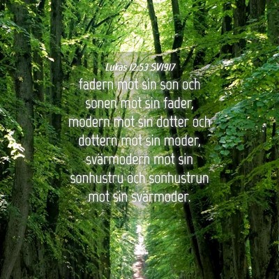 Picture 04 - Lukas 12:53 SV1917 - fadern mot sin son och sonen mot sin fader, - Bible Verse Picture