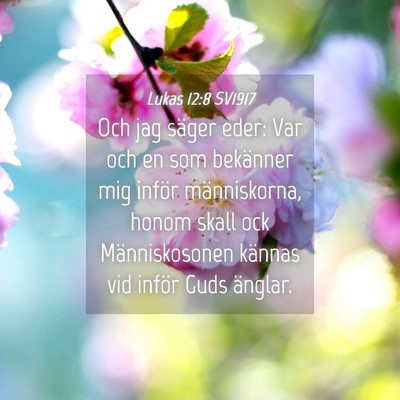 Picture 04 - Lukas 12:8 SV1917 - Och jag säger eder: Var och en som bekänner mig - Bible Verse Picture