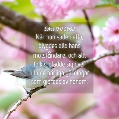 Picture 04 - Lukas 13:17 SV1917 - När han sade detta, blygdes alla hans - Bible Verse Picture