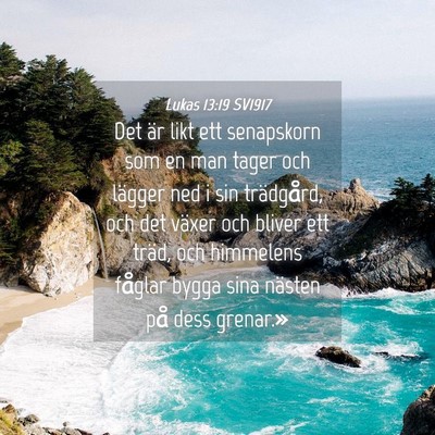 Picture 04 - Lukas 13:19 SV1917 - Det är likt ett senapskorn som en man tager och - Bible Verse Picture