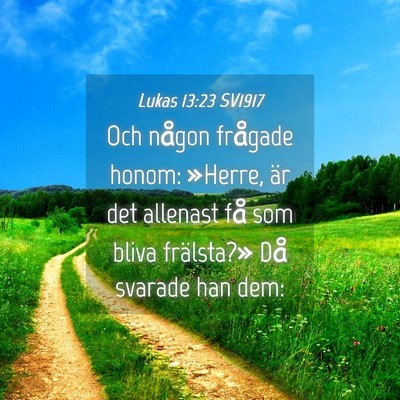 Picture 04 - Lukas 13:23 SV1917 - Och någon frågade honom: »Herre, är det - Bible Verse Picture
