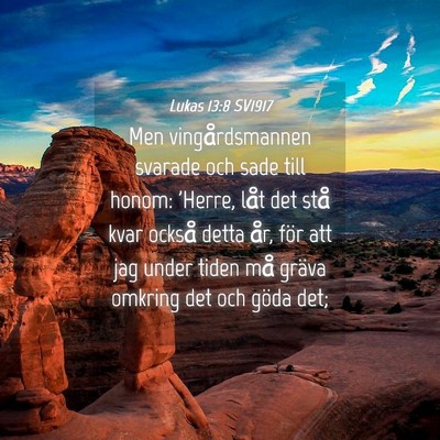 Picture 04 - Lukas 13:8 SV1917 - Men vingårdsmannen svarade och sade till honom: - Bible Verse Picture