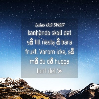 Picture 04 - Lukas 13:9 SV1917 - kanhända skall det så till nästa å bära - Bible Verse Picture