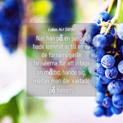 Picture 04 - Lukas 14:1 SV1917 - När han på en sabbat hade kommit in till en av - Bible Verse Picture