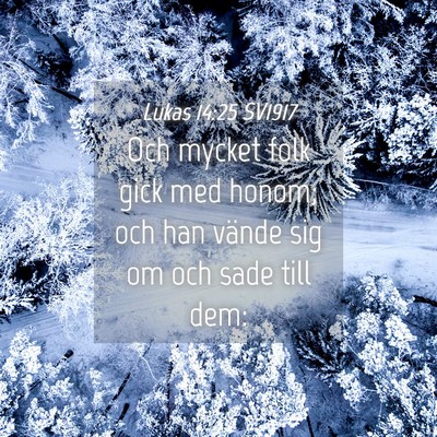 Picture 04 - Lukas 14:25 SV1917 - Och mycket folk gick med honom; och han vände - Bible Verse Picture