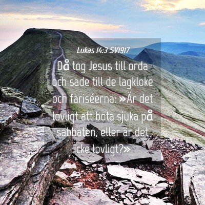 Picture 04 - Lukas 14:3 SV1917 - Då tog Jesus till orda och sade till de lagkloke - Bible Verse Picture