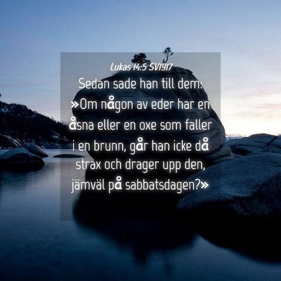 Picture 04 - Lukas 14:5 SV1917 - Sedan sade han till dem: »Om någon av eder har - Bible Verse Picture
