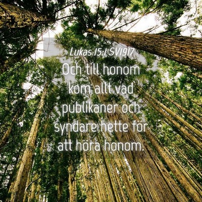 Picture 04 - Lukas 15:1 SV1917 - Och till honom kom allt vad publikaner och - Bible Verse Picture