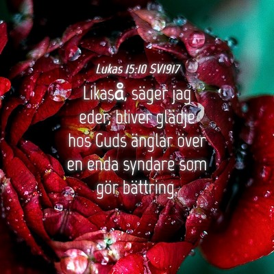 Picture 04 - Lukas 15:10 SV1917 - Likaså, säger jag eder, bliver glädje hos Guds - Bible Verse Picture