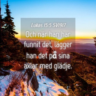 Picture 04 - Lukas 15:5 SV1917 - Och när han har funnit det, lägger han det på - Bible Verse Picture