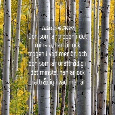 Picture 04 - Lukas 16:10 SV1917 - Den som är trogen i det minsta, han är ock - Bible Verse Picture