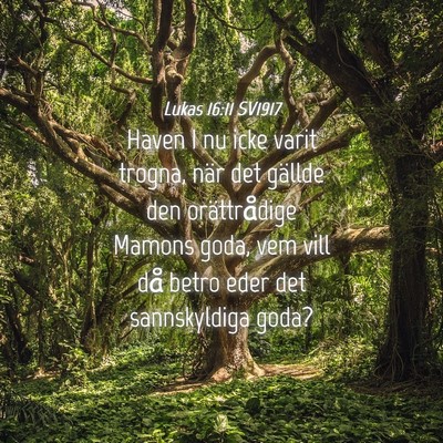 Picture 04 - Lukas 16:11 SV1917 - Haven I nu icke varit trogna, när det gällde - Bible Verse Picture