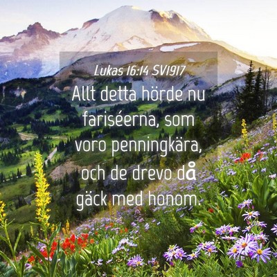 Picture 04 - Lukas 16:14 SV1917 - Allt detta hörde nu fariséerna, som voro - Bible Verse Picture
