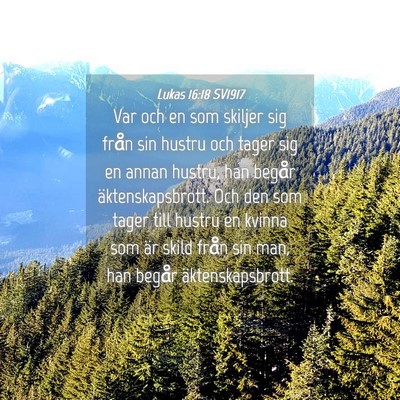 Picture 04 - Lukas 16:18 SV1917 - Var och en som skiljer sig från sin hustru och - Bible Verse Picture