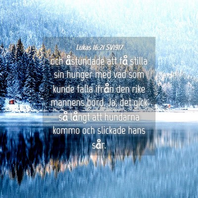 Picture 04 - Lukas 16:21 SV1917 - och åstundade att få stilla sin hunger med vad - Bible Verse Picture